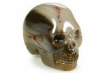 1.5" Polished Petrified Wood Skulls - Photo 4